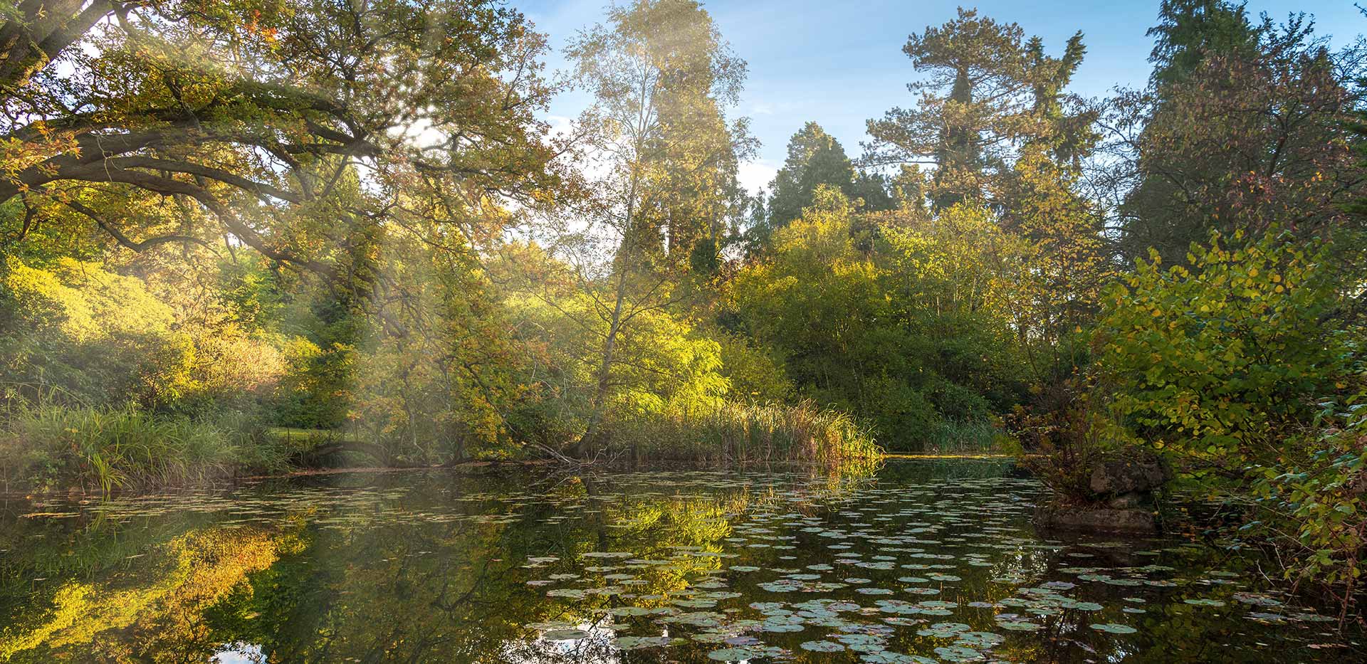 Surrounding area with lake 
